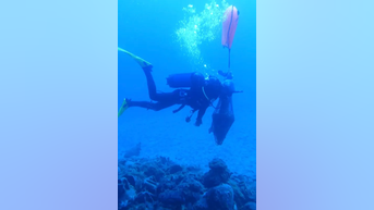 Divers uncover 2,400-year-old SHIPWRECK - Fox News