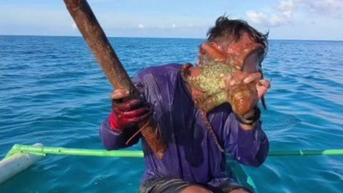 Fisherman battles stubborn octopus after it latches onto his face at sea - Fox News