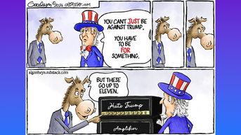 Political cartoons of the day - Fox News