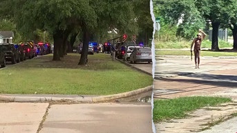 Officers, trooper unload on suspect who sprayed bullets at passing motorists - Fox News