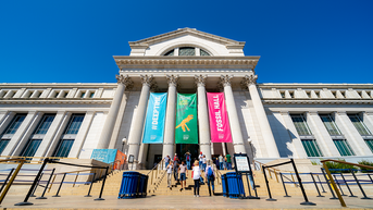 Smithsonian’s problems go from bad to worse as legal expert calls for director’s job - Fox News