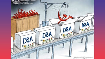 Political cartoons of the day - Fox News