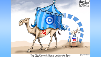 Political cartoons of the day - Fox News