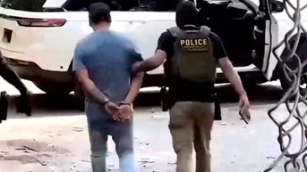 ICE arrests more than 1,300 migrants in massive DC-area takedown - Fox News
