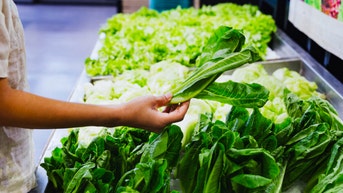 Parasite outbreak sparks new food fears as Americans change shopping habits - Fox News