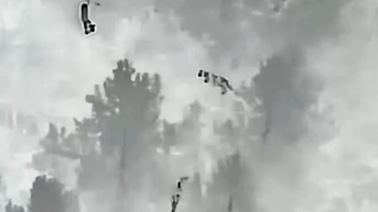Drone captures unexpected visitors on the prowl near Colorado school - Fox News