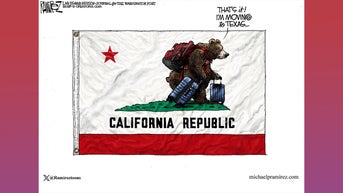 Political cartoons of the day - Fox News