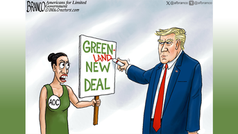 Political cartoons of the day - Fox News