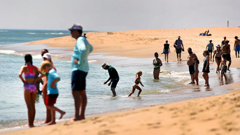 Tourists refuse to flee as apex predators reclaim a beloved summer retreat - Fox News