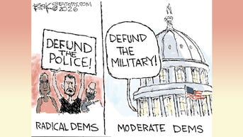 Political cartoons of the day - Fox News