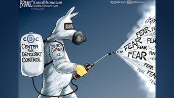 Political cartoons of the day - Fox News