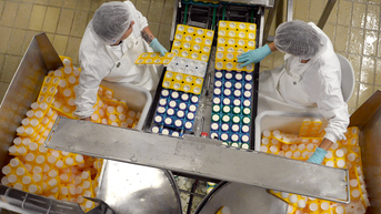 Beloved cheese brand wipes animal's iconic smile from packaging - Fox News