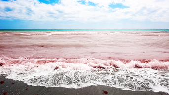Texas beaches face toxic red tide threat — here’s what it can do to your body - Fox News