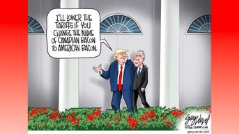 Political cartoons of the day - Fox News