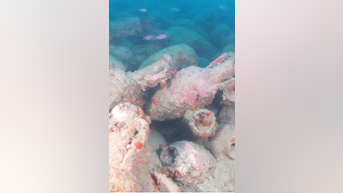 Divers uncover ANCIENT relics near shipwreck - Fox News