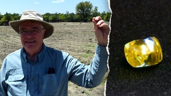 Grandfather finds hidden treasure in plain sight, leaving park officials 'dumbfounded' - Fox News