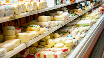 Sierra Nevada Graziers raw milk cheese recall sickens 13 across 9 states - Fox News