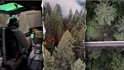 Fires rage as deputies hunt armed murder suspect through rugged forest - Fox News