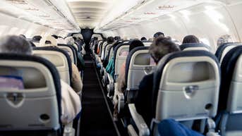 Bedbugs found in plane's economy seats force major airline to cancel flight - Fox News
