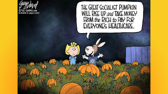 Political cartoons of the day - Fox News