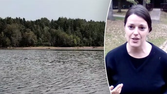Woman spots shipwreck hiding beneath lake after years of beach visits: 'Wait a minute' - Fox News