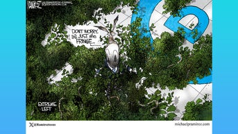 Political cartoons of the day - Fox News