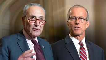 Schumer's Senate troubles mount as Dems reject leader, Thune hits trail to keep majority - Fox News