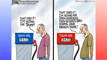 Political cartoons of the day - Fox News