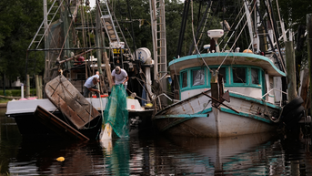 boats - Fox News