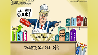 Political cartoons of the day - Fox News