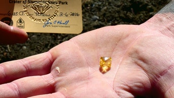 Navy reservist shakes as he pulls massive yellow diamond from gravel: 'Today's the day' - Fox News