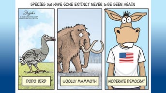 Political cartoons of the day - Fox News