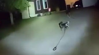 Homeowner stuck on the floor for hours is saved thanks to one very determined pet - Fox News