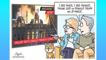 Political cartoons of the day - Fox News