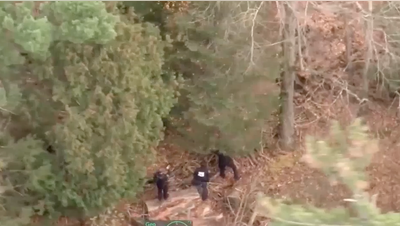 Drone footage shows manhunt, capture of escaped Michigan convict - Fox News