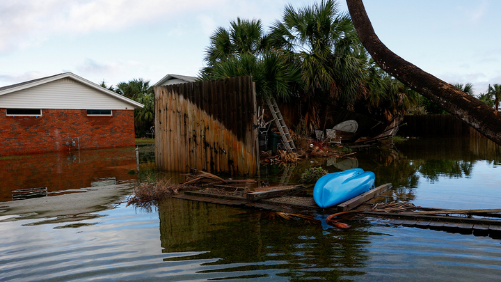 Árbol caído e inundaciones - Fox News