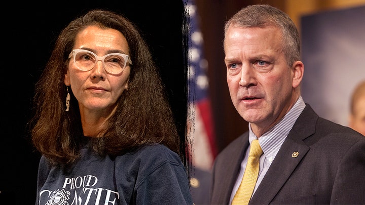 Democrat operatives reportedly ran secret 'project' in bid to sink GOP senator - Fox News