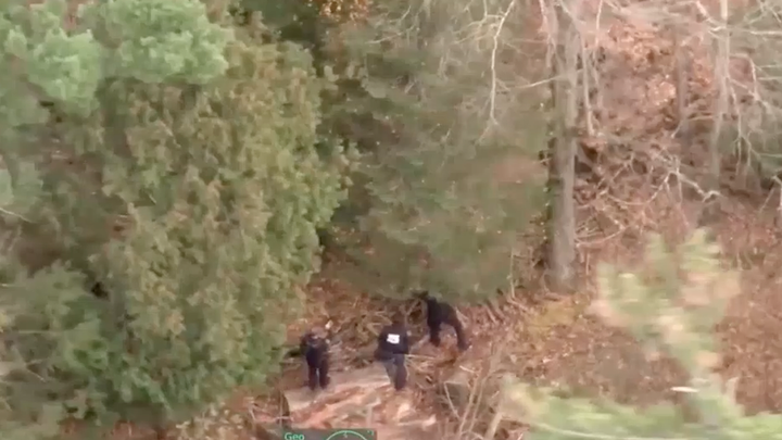 Drone footage shows manhunt, capture of escaped Michigan convict - Fox News