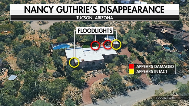 Map pinpoints floodlights that appear damaged and intact at Nancy Guthrie’s home