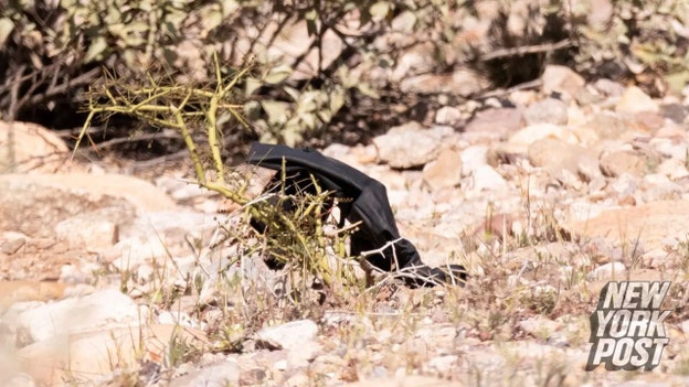 Investigators find a set of gloves from roadside near Nancy Guthrie's home