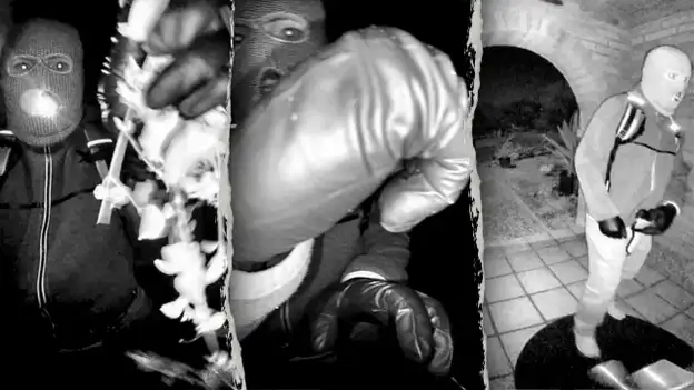 Over 1,600 new tips have been sent to the FBI since Savannah Guthrie announced $1M reward: source