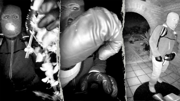 Savannah Guthrie says Nancy 'is still alive' after FBI releases surveillance video