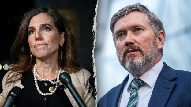 2 GOP Reps plan to join Dems in Epstein protests during SOTU: REPORT