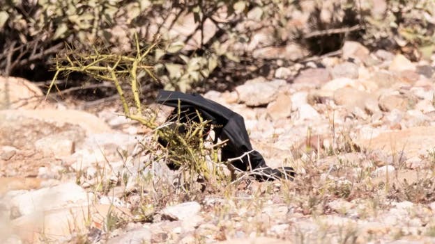 Investigators find a set of gloves from roadside near Nancy Guthrie's home