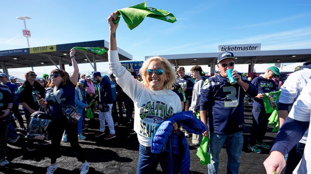 How many fans are expected at the Super Bowl