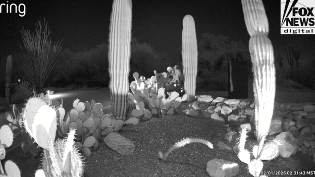 Expert weighs in on car spotted on new doorbell video near Guthrie's home