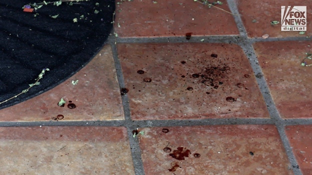SEE IT: Blood droplets on porch of Nancy Guthrie's house