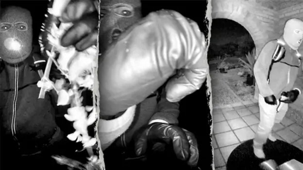 Neighbor reviews doorbell video, weighs shared service workers in Guthrie disappearance