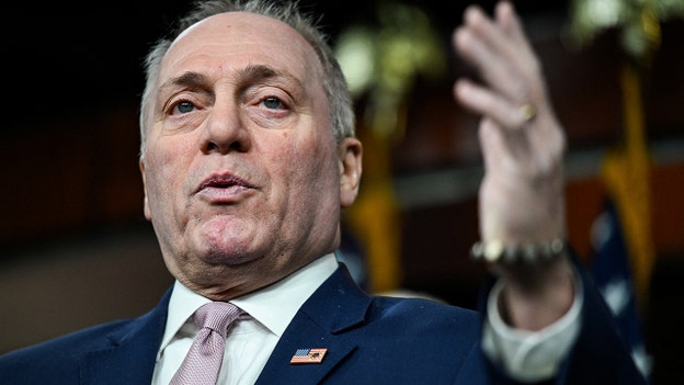 Scalise slams Dems over DHS shutdown, warns 171 million travelers risk delays
