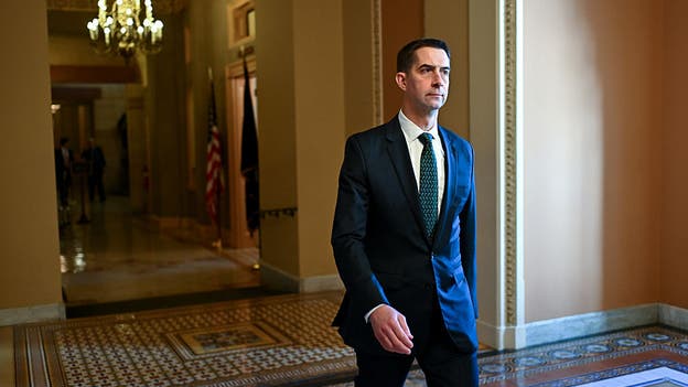 Arkansas Dem Hallie Shoffner wins Arkansas Senate primary after raising $1.2M, faces Cotton next